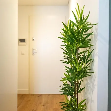 The Beautiful Ones Apartment Porto